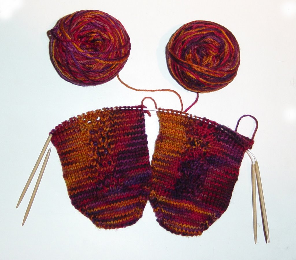 needles for two at a time socks 1