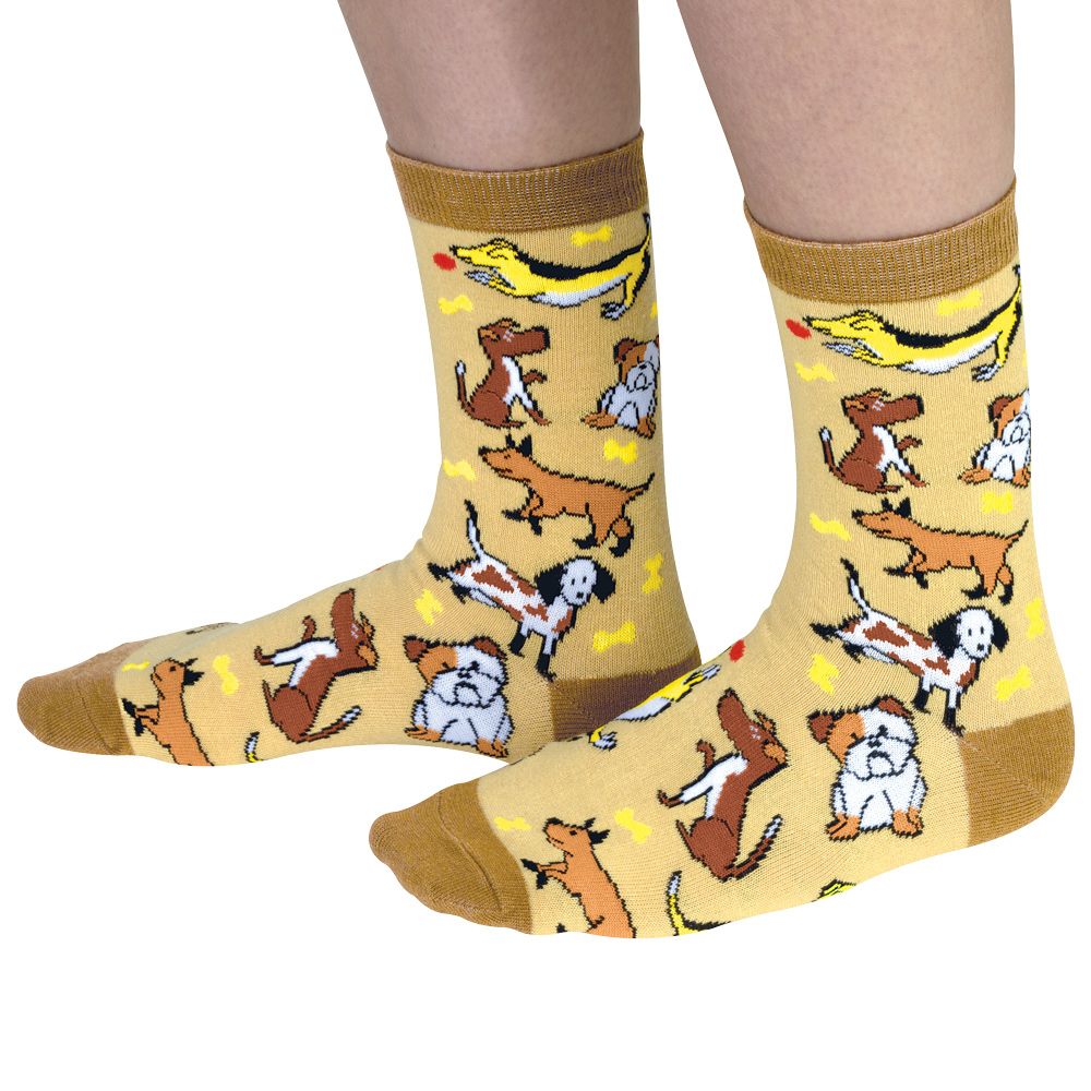 dog socks for outdoors 1